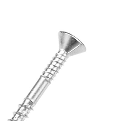 Торс из нержавеющей стали с двойной нитью гипсокартонный гипсокартонный винт с позидривом