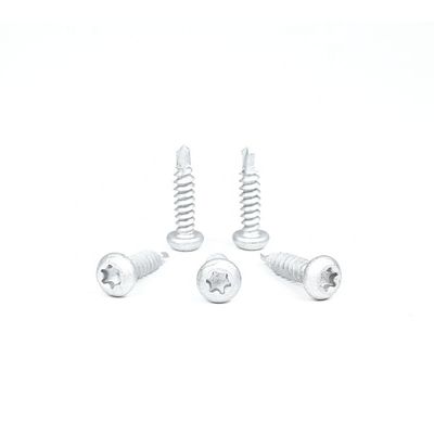 Pan Head Torx Drive Самосверлительный винт для металла из 304 нержавеющей стали